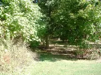 DSCF0009.webp