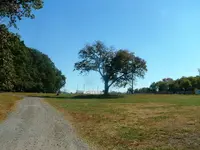 DSCF0010.webp