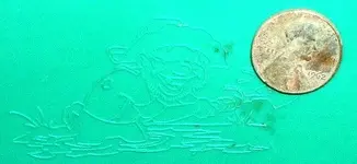 DSCF0006(2).webp
