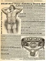 heidelbergelectricbelt.webp