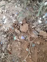 image-775855006.webp