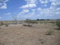 Cowboy Treasures 004.webp