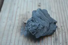 Charcoal9.webp