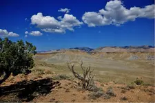 00677339.webp