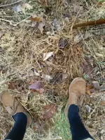 20140107_154153.webp
