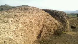 VIDEO0128_٠٠٠٠٠٧٤٣٣٧.webp