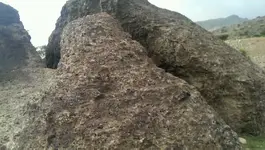 VIDEO0128_٠٠٠٠٠٢٣٧٦٨.webp
