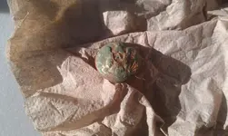findsoct235.webp