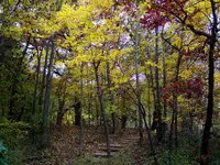 iowa 2.webp