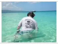 Tee shirt.webp