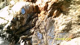 DSCF0179.webp