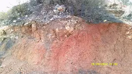 DSCF0194.webp