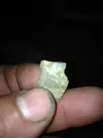 image-3348477153.webp