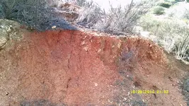 DSCF0195.webp