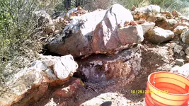 DSCF0199.webp