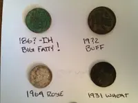 Backyard Finds - 1st Buff 11-12-14.webp
