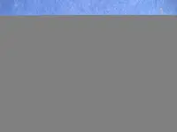 585.webp