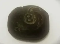 Oak Island 8 Cobb Coin.webp