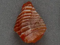 Agate-Tiny-October2014-Img_5706bSSS.webp