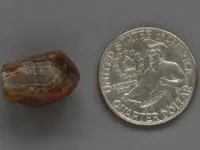 Agate-Side-October2014-Img_5707SSSS.webp