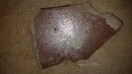 Artifacts (12).webp