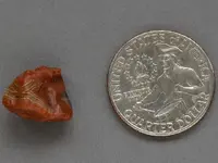 Agate-RedSide-October2014-Img_5705SSSS.webp