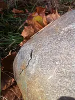photo (5).webp