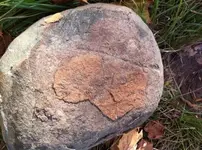 photo (7).webp