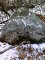 skip_a_loo_n quartz8.webp