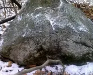 skip_a_loo_n quartz8crop.webp