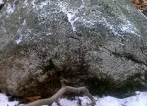 skip_a_loo_n quartz8crop2.webp