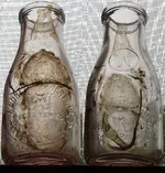 Wehnert Pint Milk.webp Wehnert Pint Milk.webp