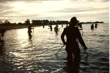 Flies and Baits 163.webp