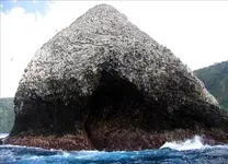 IslaDelCoco2804k.webp