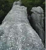 Untitled1.webp