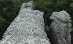 Untitled22.webp