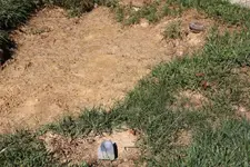 nutting stone insitu1 web.webp