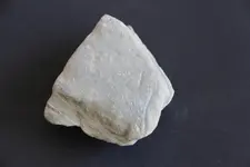 nutting stone back web.webp