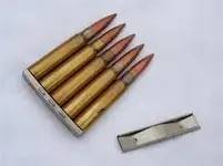 clip2.webp