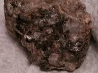 biotite 2.webp