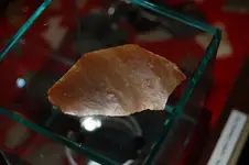 DSC_0078.webp