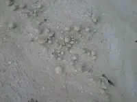 rock balls 003.webp rock balls 003.webp