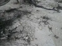 rock balls 004.webp rock balls 004.webp