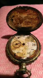 IMAG0622.webp