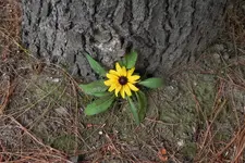 K1600_002.webp