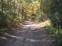 cthunt 013.webp