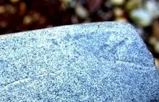 DSCF0026.webp