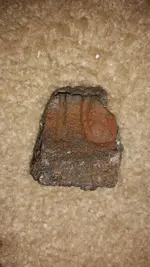 artifacts (32).webp