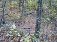 cthunt 030.webp