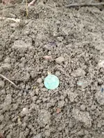 IMG_0434.webp IMG_0434.webp